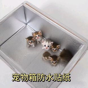 加厚泡沫箱隔热铝箔贴纸室外流浪猫狗窝保温箱改造翻新贴膜防水贴