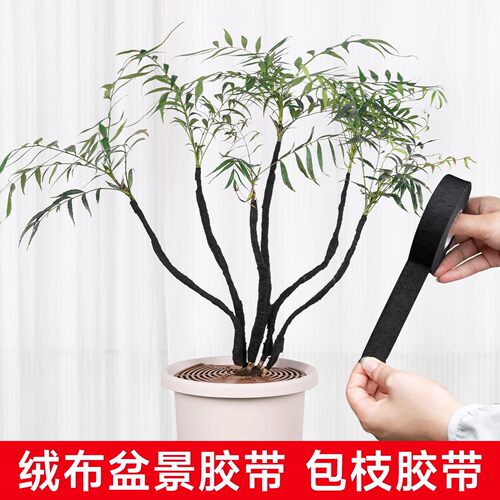 米乐奇盆景造型用品盆栽造型