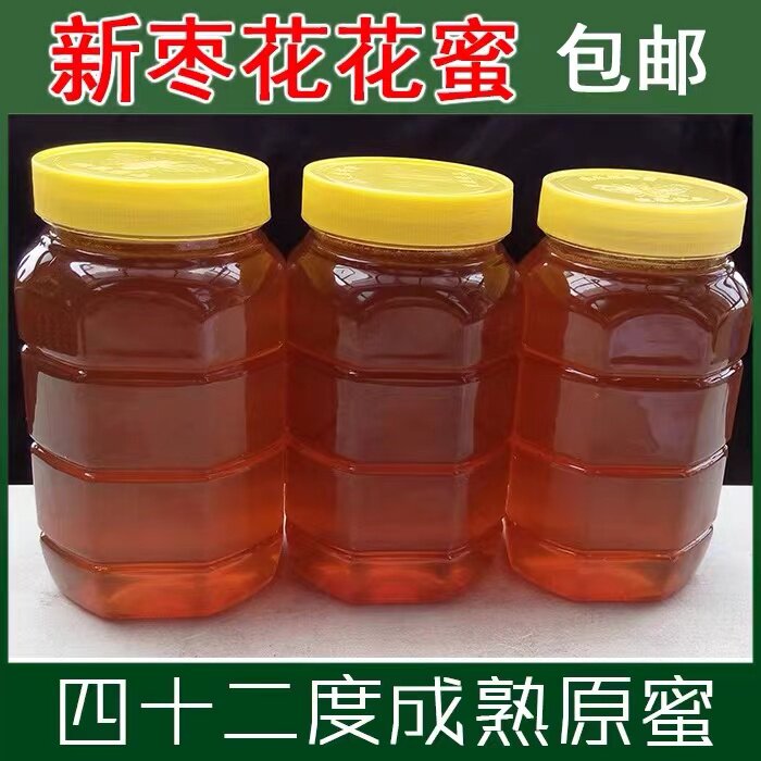 2024年新鲜枣花蜜枣花蜂蜜农家自产纯天然正宗蜂蜜2500克5斤装