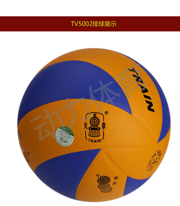 Ballon de volley - Ref 2011118 Image 4