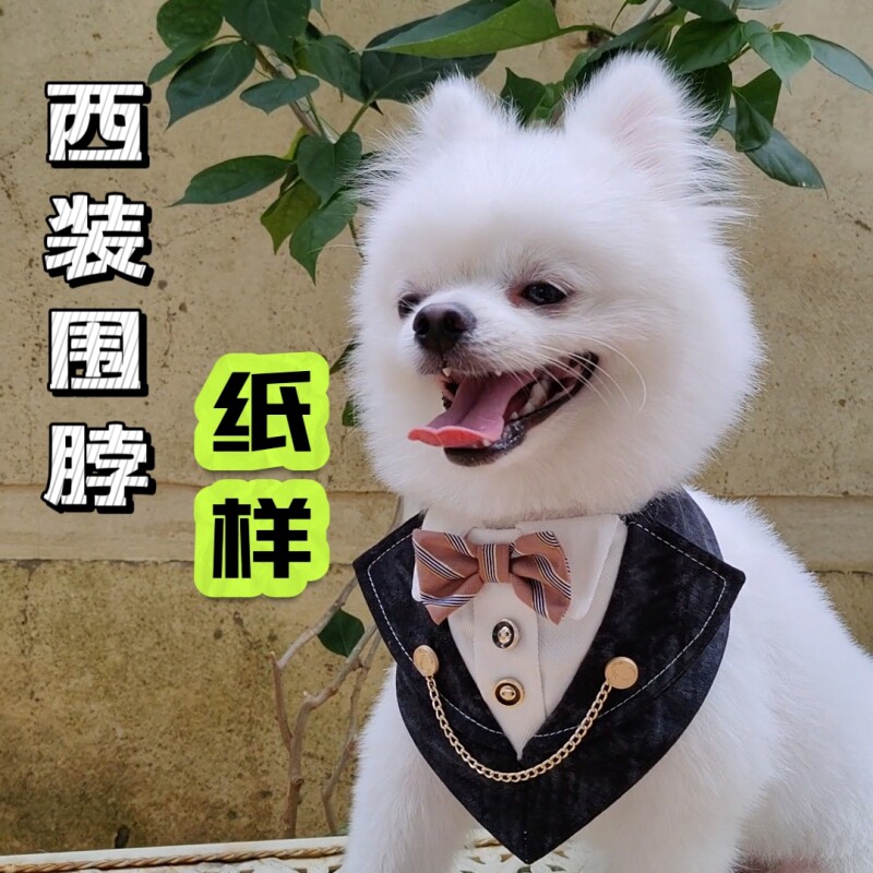 宠物围兜纸样口水巾纸样狗猫布偶蓝白英短泰迪绅士西装围脖配饰