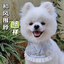赢赢宠物围兜纸样口水巾纸样狗猫布偶蓝白英短泰迪和风围脖配饰