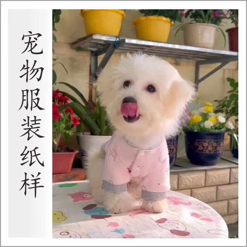 宠物服装纸样图纸狗猫泰迪比熊博美小大型犬衣服裁剪图飞边T恤裙