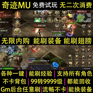 奇迹mu手游gm后台大天使买断无限代金内购怀旧三职业非单机联网玩