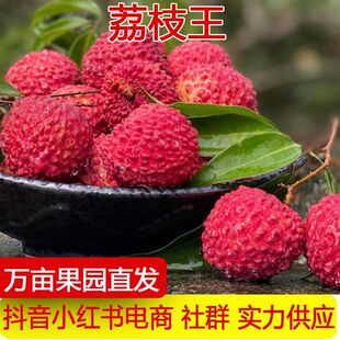 产地直发海南火山荔枝王当季新鲜饱满香甜多汁大荔枝