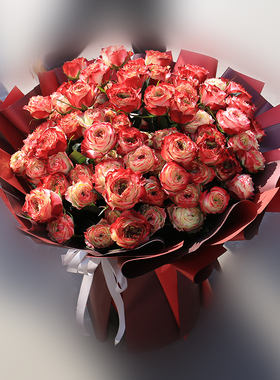 99朵多色紫色粉玫瑰花束花店生日配鲜花速递同城北京配送花店