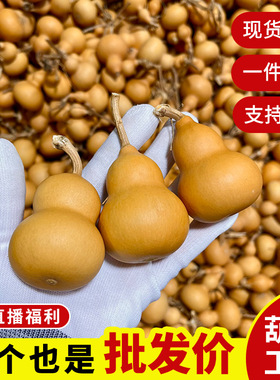 天然文玩葫芦手把件手捻带龙头紫皮绕指柔小葫芦办公室摆件