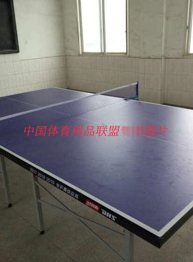 标准乒乓球台DHS/红双喜