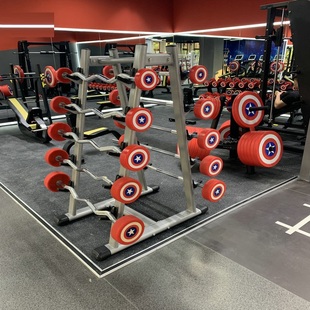 韦步小杠铃摆放架杠铃杆架哑铃架杠铃片存放架奥杆健身房器材