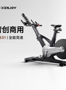 麦瑞克绝影CS531商用动感单车器材家用室内骑行自行车运动