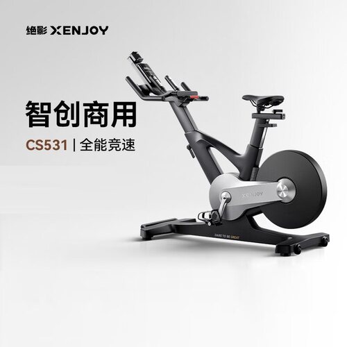 麦瑞克绝影CS531商用动感单车器材家用室内骑行自行车运动