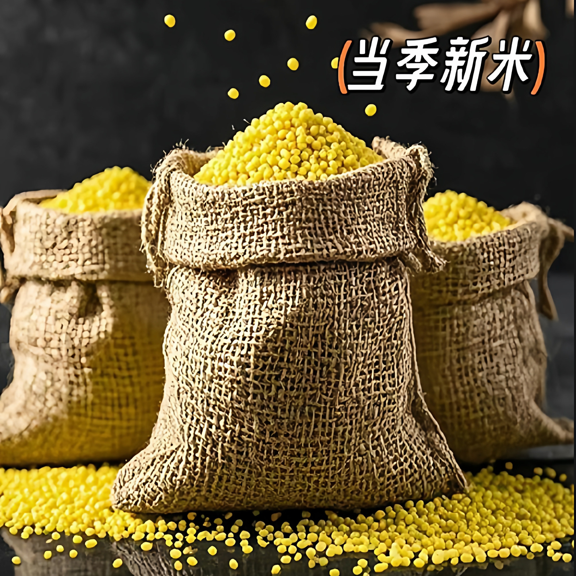 正宗月子黄小米山地特产