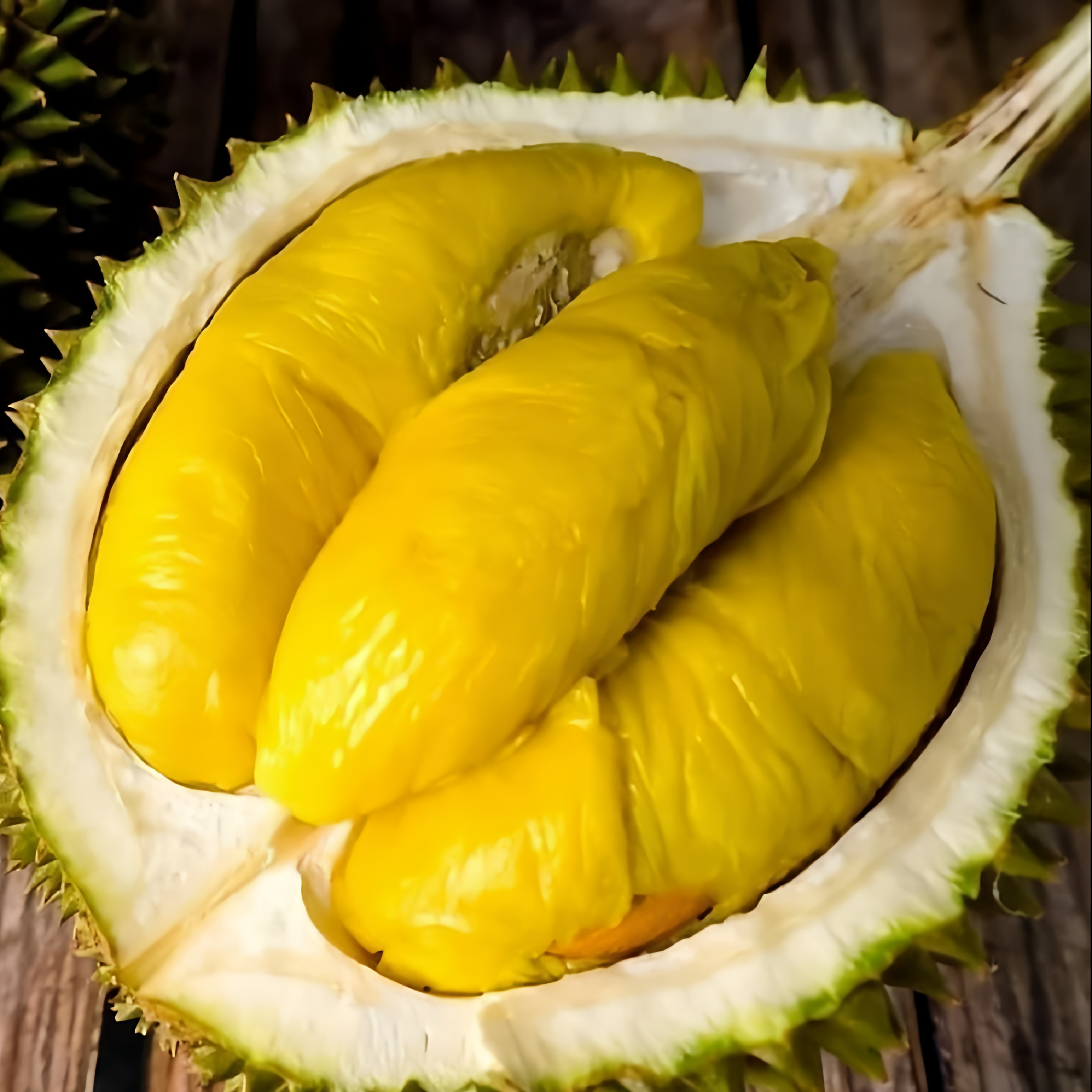 马来西亚进口正宗D197猫山王