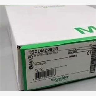 【维修】TSXDMZ28AR施耐