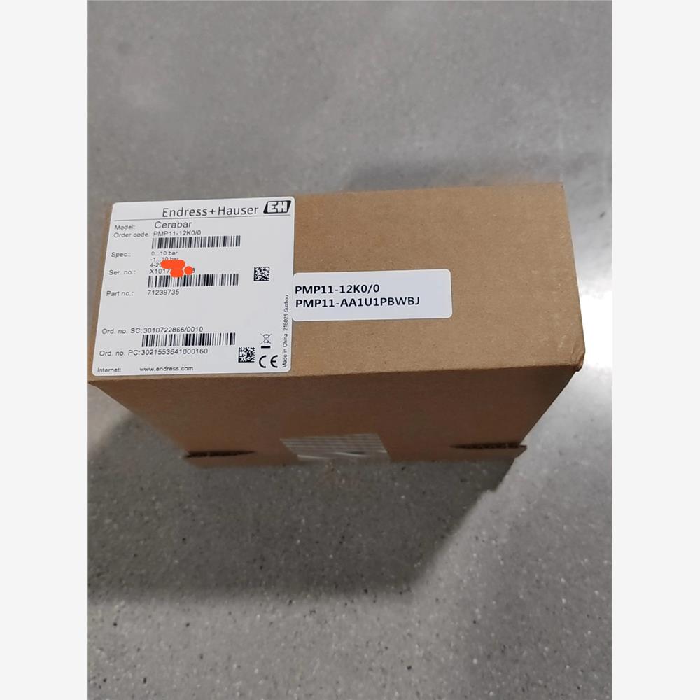 【维修】E+H压力变送器PM