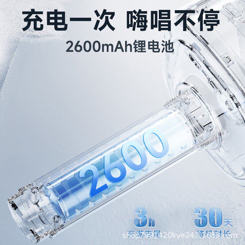 十大名牌曼哈顿柏林之声德国进口音质H9话筒音响一体麦克风户外家