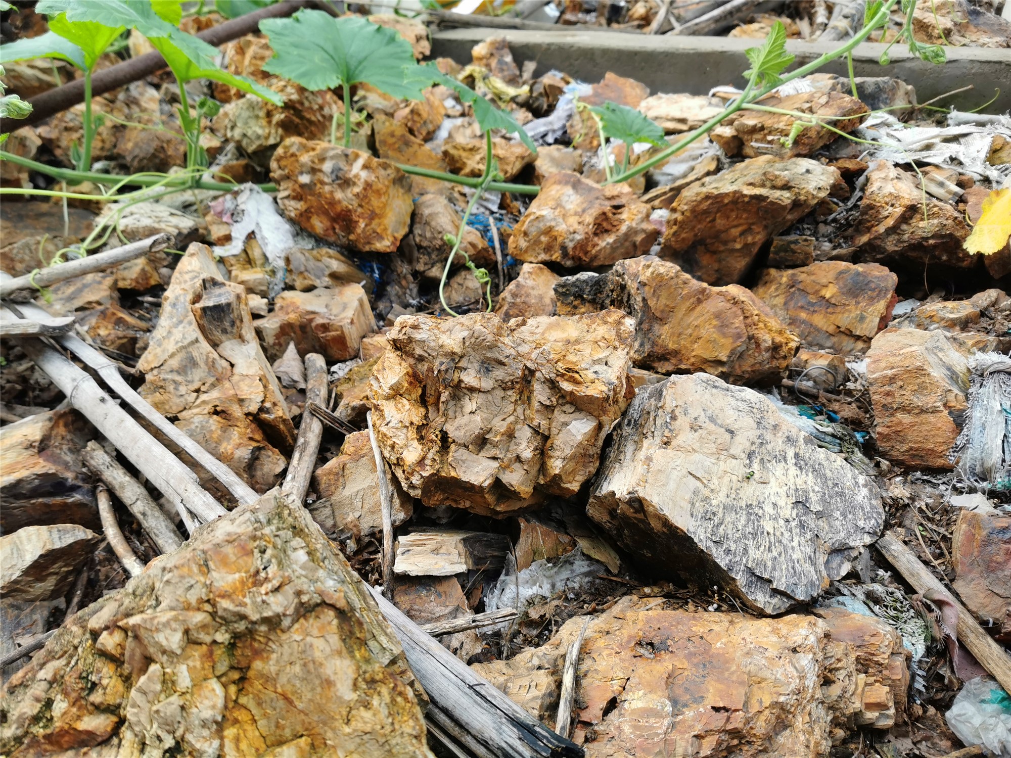 天然木化石摆件硅化木鱼缸水族箱造景素材假山-封面