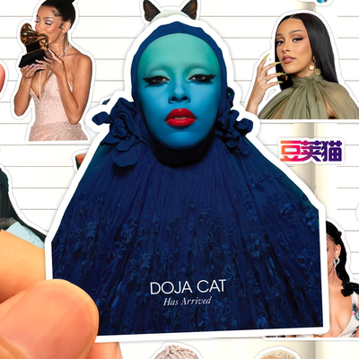 Doja Cat贴纸高清防水美国女歌手豆荚猫经典收藏装饰画粘贴行李箱