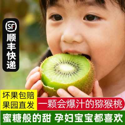 新鲜翠香猕猴桃周至新鲜上市