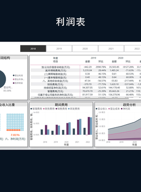 POWER BI上市公司财务分析大数据会计财务分析模板powerbi代制作