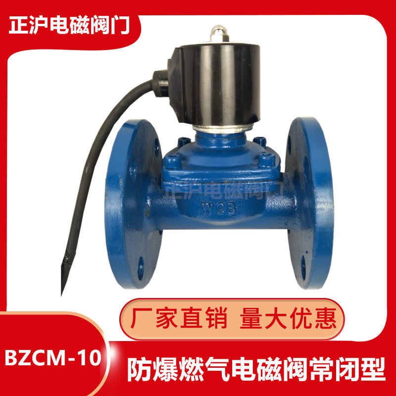 BZCM-10C防爆燃气电磁阀电磁阀