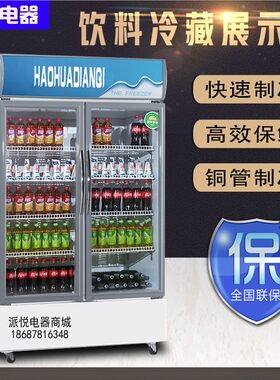 双开门立式饮料柜商用冰箱
