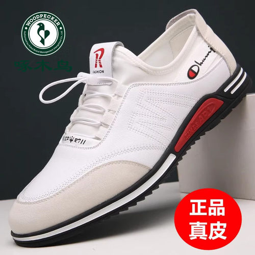 啄木鸟运动休闲潮流百搭鞋子