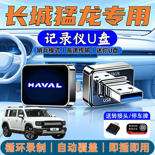 长城猛龙Plus哨兵行车记录U盘