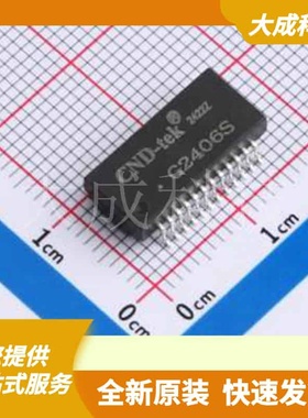 G2406S 原装正品 SMD-24P