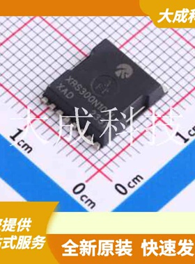 XRS300N10TL 原装正品 :