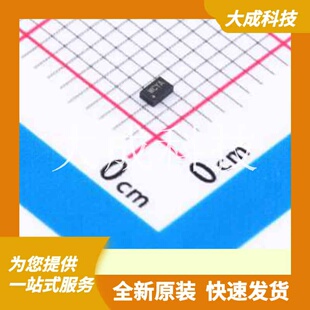 SYS22V12SLC 原装正品 类型