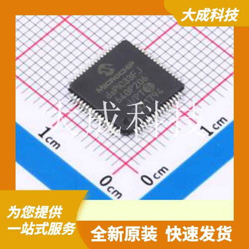 dsPIC33FJ64GP206-I/PT 原装正品 FLASH容量