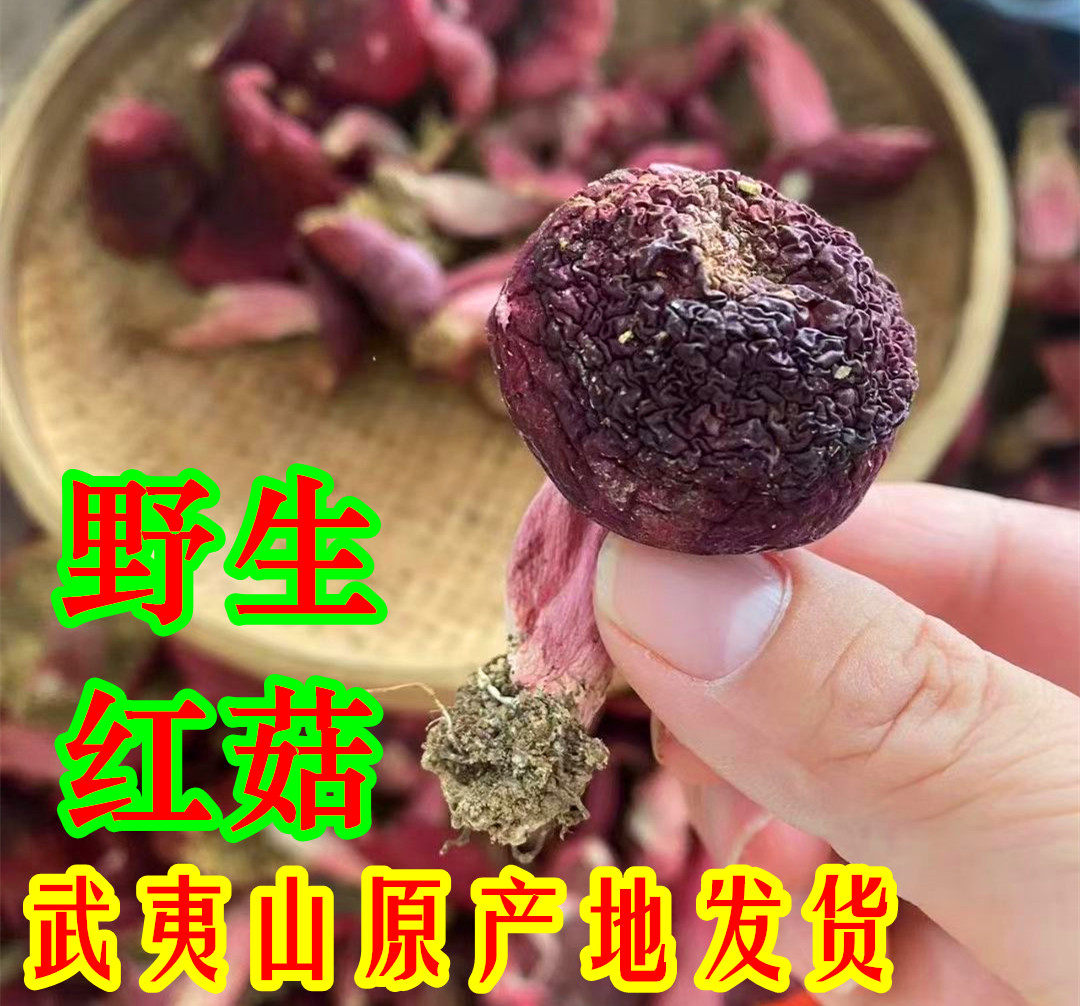 武夷山红菇野生红菇福建特产正宗红蘑菇干货小朵红菇特价小奶菇