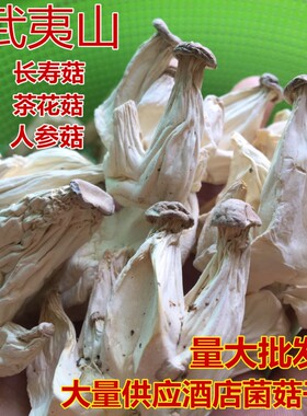 福建武夷山干货特产500克长寿菇
