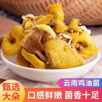 李禧记学雄鸡油菌云南特产黄金菇菌菇包煮汤炒菜菌鸡油菌1000g