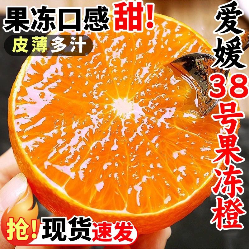 正宗四川爱媛38号果冻橙新鲜水果10斤手剥甜橙子柑橘现摘产地直发
