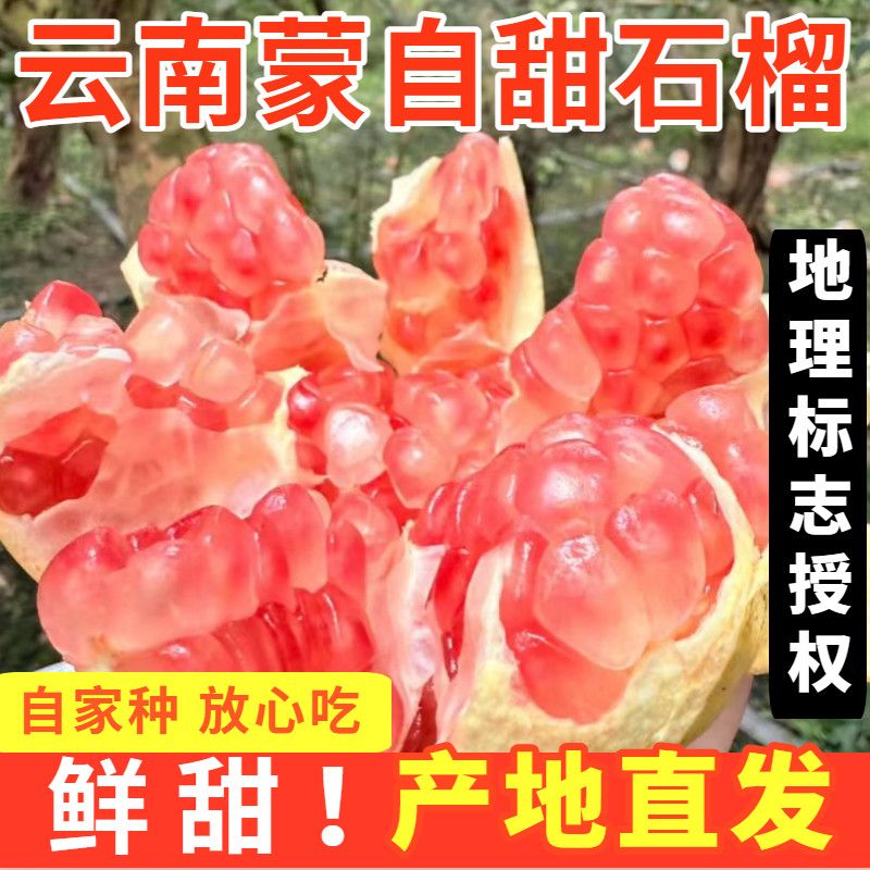 【现货】云南蒙自甜石榴当季新鲜水果老树硬籽石榴现摘现发包邮