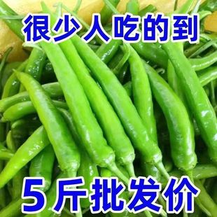杭椒现青椒特小辣椒螺丝小米椒辣线青椒朝天椒尖椒椒摘腌制长椒