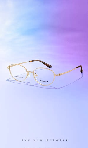 眼镜框SC958全框方框多边细边框设计眼镜框架52mm