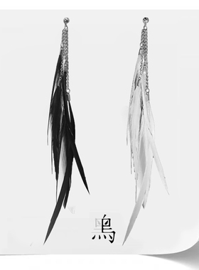 [oner岳明辉同款]耳环流苏夸张长条羽毛黑白秋冬高级感简约大气