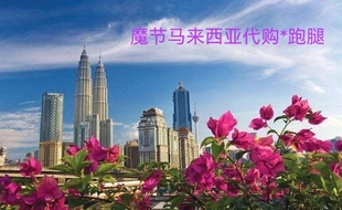 马来西亚跑腿代购 转运 送花送蛋糕 外卖电话卡 交水电费罚单