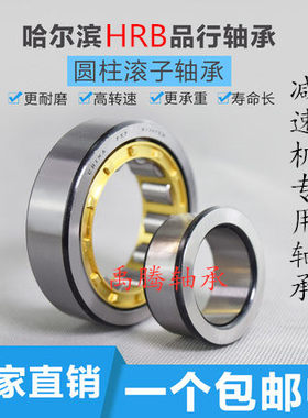 减速机专用轴承RN 502312 502219 502222 502228N 正品
