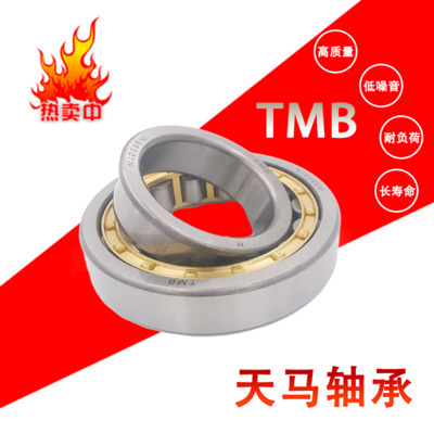 天马TMB轴承 N NU NJ RN NUP NF 224 226 228 230 EM C3 4 P5 6