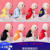 背心春夏宠物泰迪比熊博美幼犬小型犬猫咪 夏装 小狗狗衣服春装 薄款