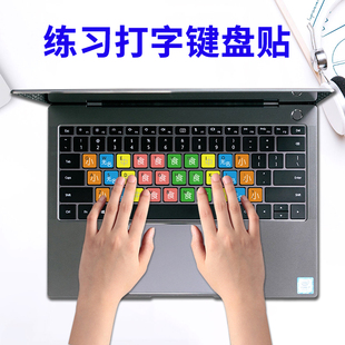 键盘打字练习初学指法键盘贴贴笔记本电脑修复按键贴儿童手指分区