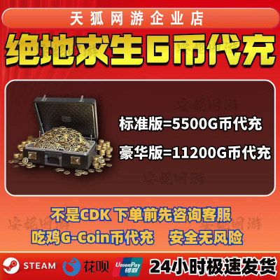 绝地求生G币充值PUBG代充11200G币G-COIN吃鸡专用货币美金充值