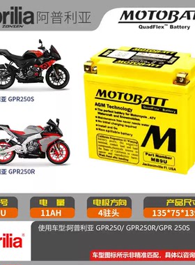 宗申比亚乔风行BYQ125-2E week8 fi叛逆者250摩托车电瓶12v蓄电池