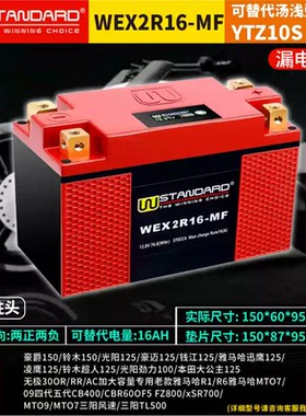 杜卡迪Superbike 1299 899 959 1199 Panigale V4S V4电瓶锂电池