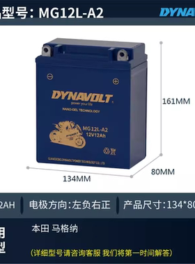 猛狮摩托车电瓶YB12A-BS宝马F650gs标志200雅马哈SR250免维护电池