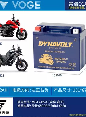 隆鑫无极电池300R 250RR AC GY 500R 650DS 525R 150GT摩托车电瓶